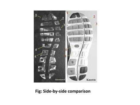 Forensic Analysis Of Foot Wear Impression Ppt