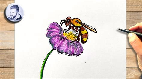 Comment Dessiner Une Abeille Sur Une Fleur YouTube