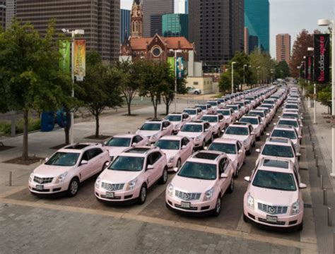 Pink Cadillacs gather for Mary Kay cosmetics rally