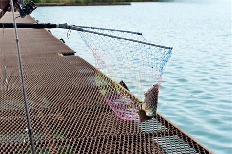 Un Pescador Atrapa Pescado En Una Granja De Truchas Con Una Barra