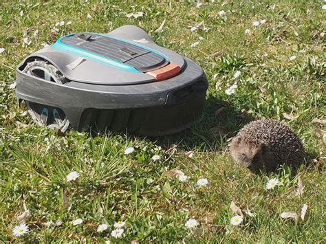 Gef Hrliche Gartenhelfer M Hroboter Gef Hrden Igel Co