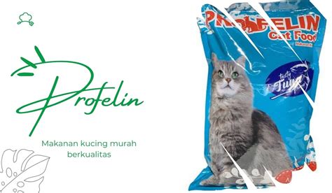 Makanan Kucing Profelin Review Dan Kelebihannya Update Badilag