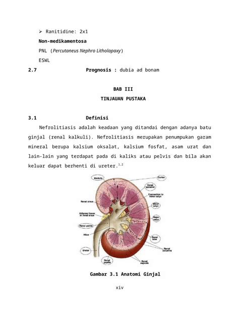 DOCX NEFROLITIASIS DAN HIDRONEFROSIS DOKUMEN TIPS