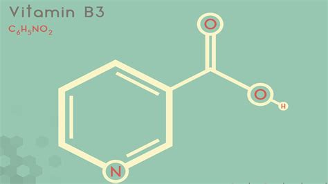 Makanan Kaya Vitamin B3 Untuk Metabolisme Sehat Klikdokter