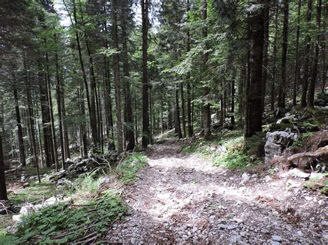 Monte Raitertal Zona Di Accampamento Dei Partigiani Nel Secondo