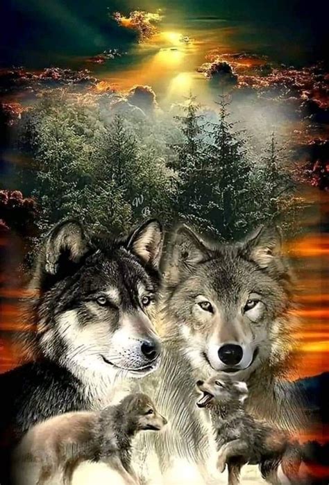 Pin by Ingrid Pavlovičová on Milujem vlkov I love wolves Wolf