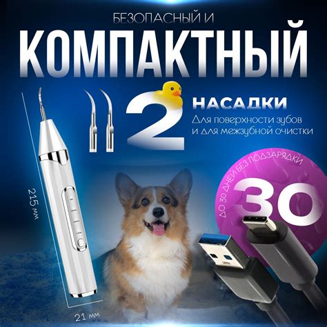 Скалер ультразвуковой электрический для удаления зубного камня у собак ...