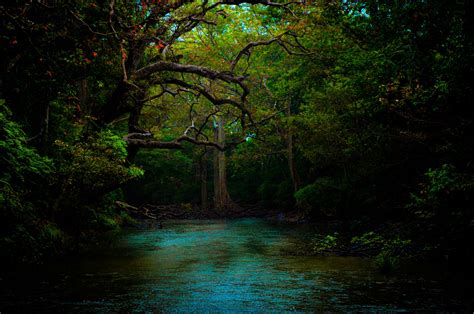Nature Dark 4k Wallpapers Wallpaper Cave