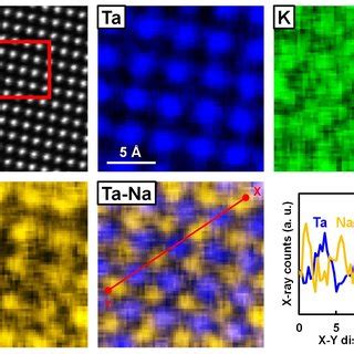 STEM EDS Elemental Mapping Of The Calcined Specimen With An Atomic