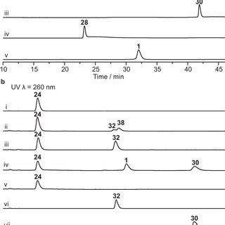 HPLC Analysis Of The Reactions Catalyzed By KnmF KnmB1 And KnmB2 A