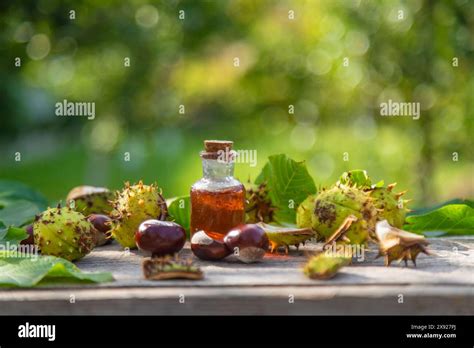 Horse Chestnut Extract In A Bottle Selective Focus Stock Photo Alamy