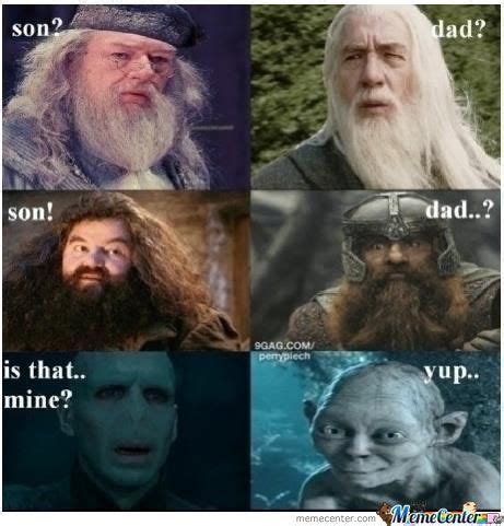 15 Harry Potter-Lord Of The Rings Crossover Memes That Made Us Laugh A ...