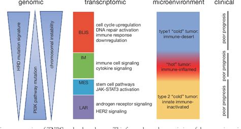 Figure 1 From Molecular Subtypes And Precision Treatment Of Triple