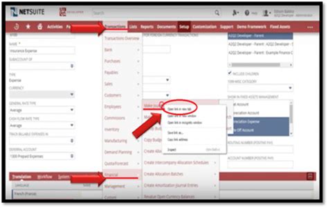 Netsuite Create Amortization Journal Entry