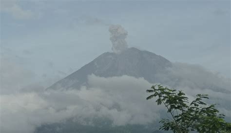 Gunung Semeru Erupsi Lagi Pagi Ini Tinggi Letusan Meter Di Atas