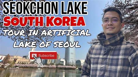 South Korea Vlog Cherry Blossom In Seoul Seokchon Lake Tour