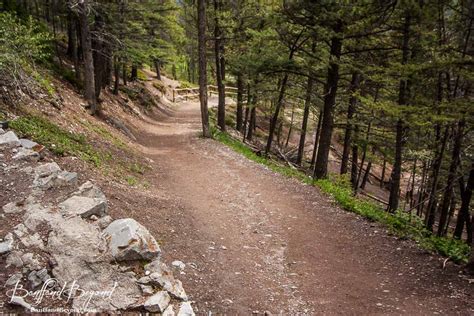 long switchbacks on the tunnel mountain summit hiking trail in banff