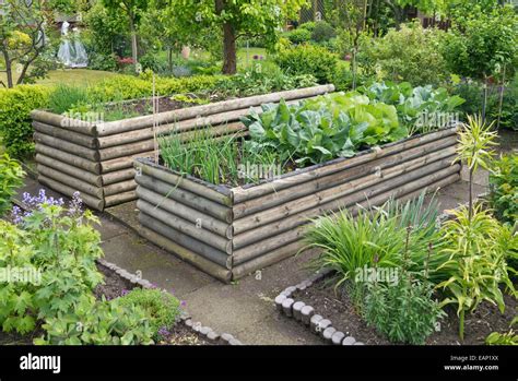 Raised Beds In An Allotment Garden Stock Photo Alamy