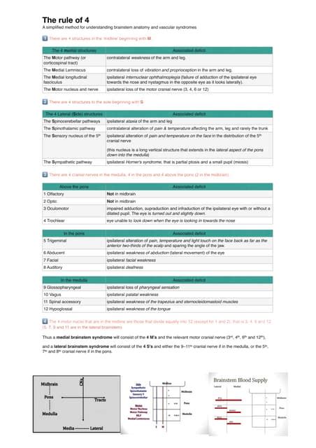 rule     brainstem  simplified method  understanding