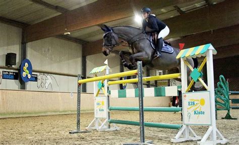 reitverein wodan damm wurde  jahre schermbeck
