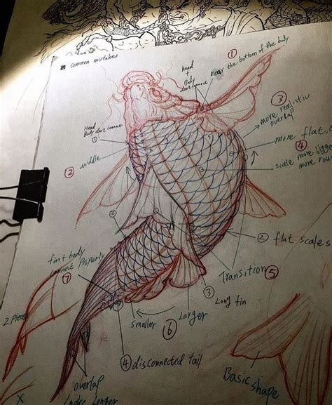 A Drawing Of A Fish Is Shown On A Piece Of Paper That Has Been Drawn