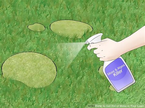 How To Get Rid Of Moss In Your Lawn 14 Steps With Pictures