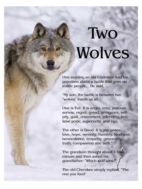 Which Will You Feed Two Wolves Wolf Quotes Native American Quotes