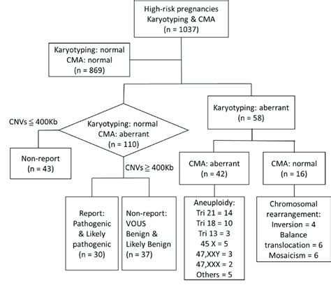 Flowchart of patient G-banding karyotype and chromosomal microarray ...