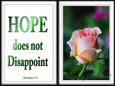 Romans And Hope Does Not Disappoint Because The Love Of God Has