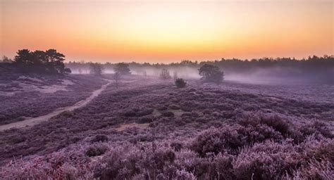 A timelapse journey through Dutch nature — Time Lapse Network