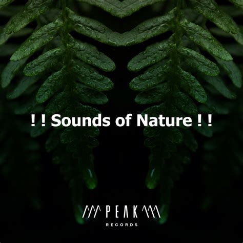 Sounds Of Nature Album By Rest And Relax Nature Sounds Artists