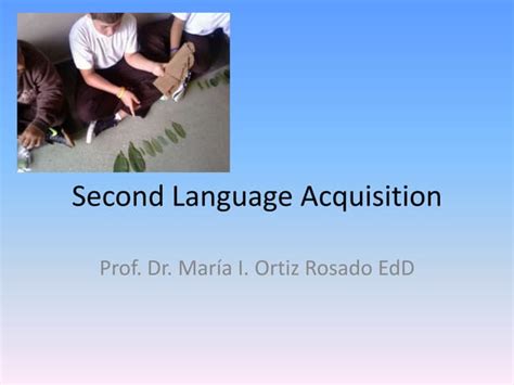 Principles Of Instructed Second Language Learning