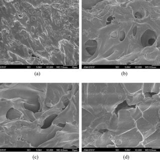 Sem Micrographs Of The St G Paa Pva Hydrogels With A B