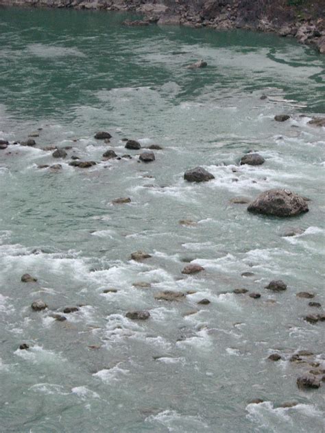 rivers eternal messengers kate vogt