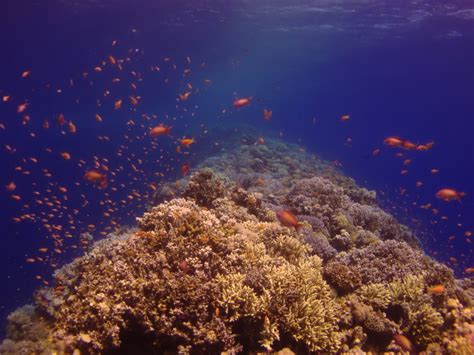 Red Sea Blue Hole Qesm Saint Katrin Egypt Atlas Obscura