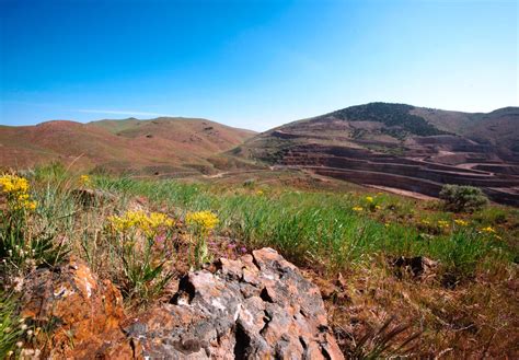 Nevada Gold Mines Jv United Stastes Newmont Corporation