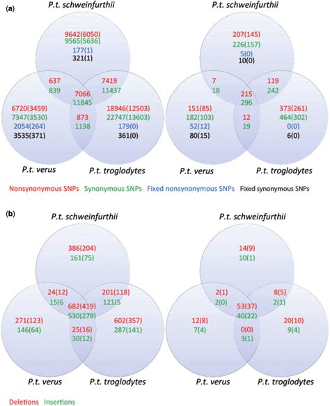 A Venn Diagrams For The Autosomes And The X Chromosomes Are Shown Download Scientific Diagram