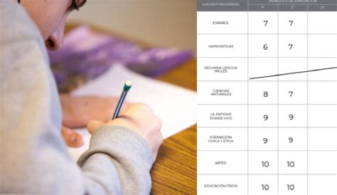 C Mo Descargar La Primera Boleta De Calificaciones De La Sep