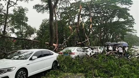 中国悲剧档案 On Twitter 5月7日东莞暴风骤雨，局部出现10级短时大风，寮步汽车城附近龙卷风，树木拦腰折断或被连根拔起，砸到路边车辆 暴雨