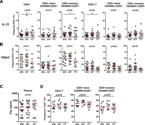 The Stat4 Sle Risk Allele Rs7574865[t] Is Associated With Increased Il