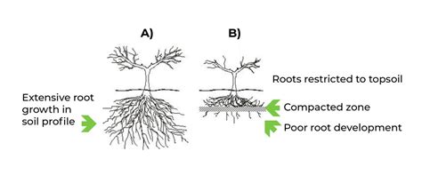 Soil Compaction Meaning Effects And Prevention Herogra Herogra