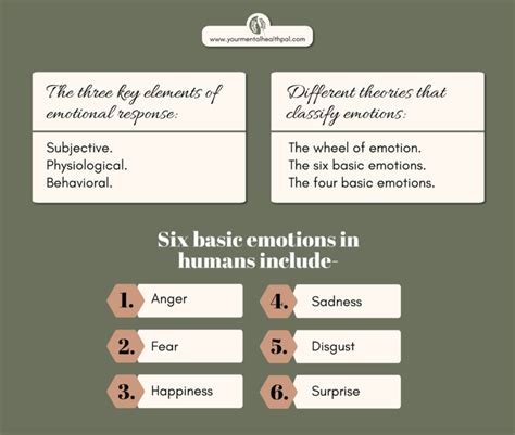 What Are The 6 Types Of Emotions