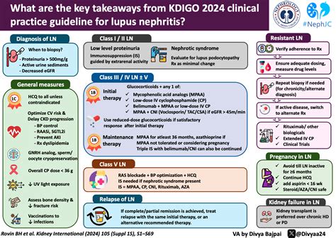 KDIGO 2024 Lupus Nephritis Guidelines - Visual Abstract — NephJC