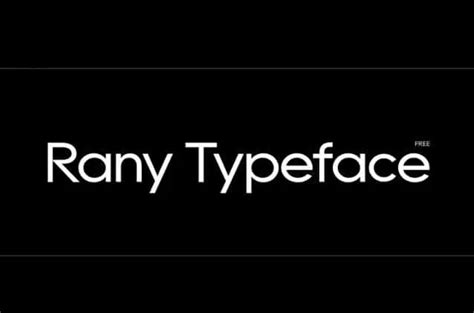 Rany Typeface Font Creative Fonts