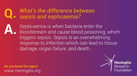 Difference Between Bacteremia And Septicemia Difference