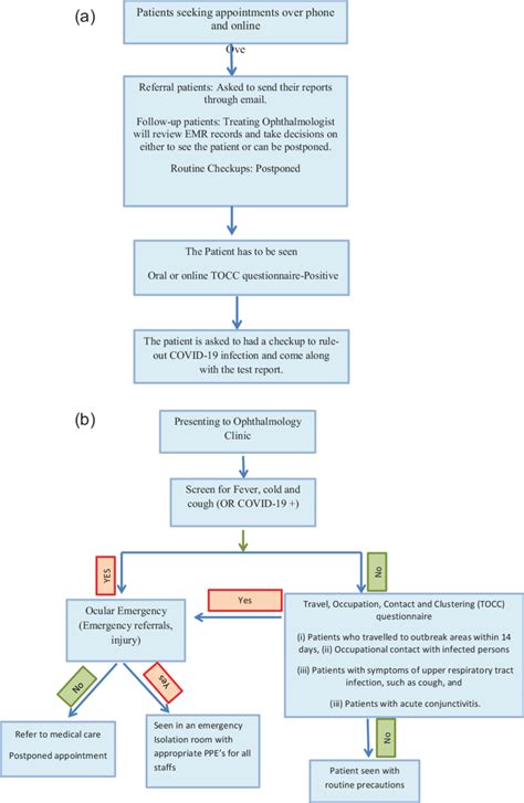 Triage Process Flow Chart