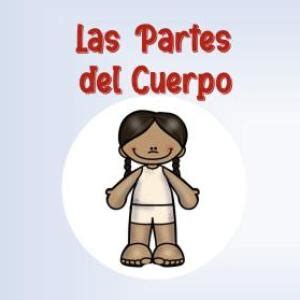 Idiomas Las Partes Del Cuerpo Cuerpo Espa Ol