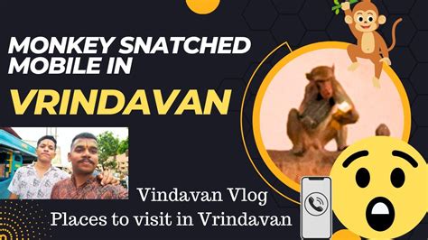 Places To Visit In Vrindavan II Vrindavan Vlog II Banke Bihari