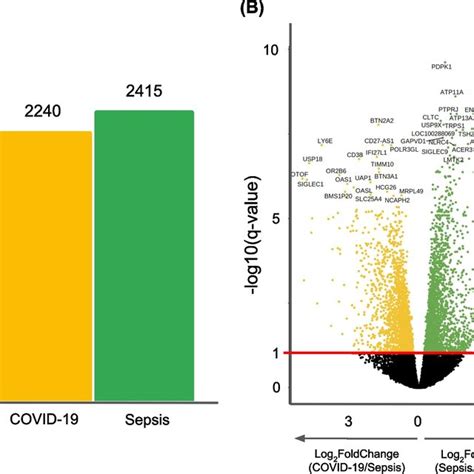 Venn Diagram Of Differentially Expressed Transcriptomes Between The