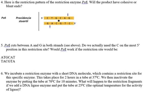 Solved 4 Here Is The Restriction Pattern Of The Restriction Enzyme Psti Will The Product Have